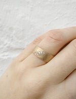 Lies Wambacq - gold plated 8 cubic zirconia ring