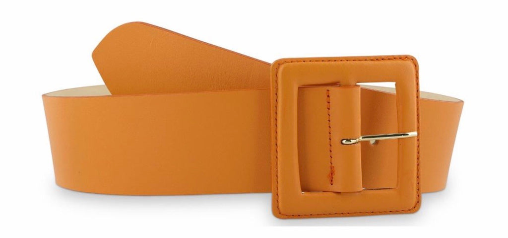 Hampton Bays Belt Umber orange